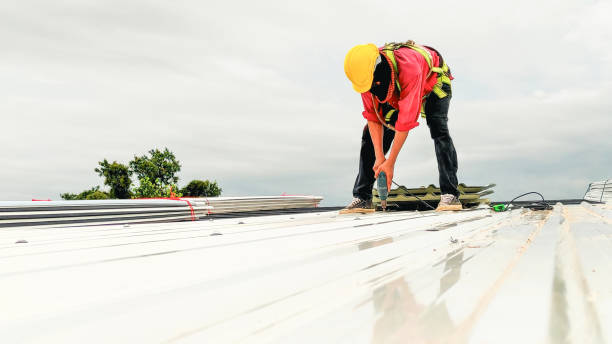 Best Skylight Installation and Repair  in St Pete Beach, FL
